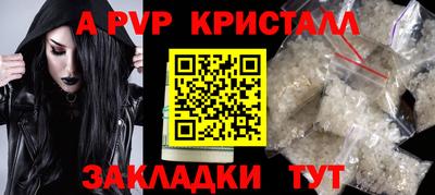 мяу мяу мука Ачхой-Мартан