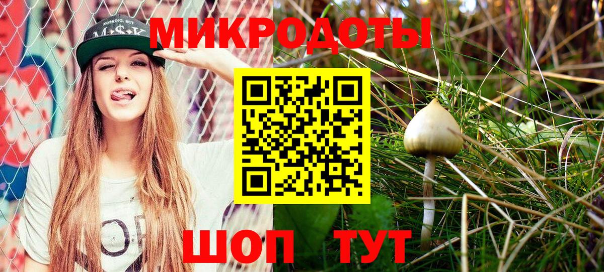 Псилоцибиновые грибы мухоморы Конаково